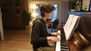 Mercy Shawn Mendes  cover by Tamsen Devaere [upl. by Bertsche706]