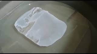 Flat Sheet Membrane Fabrication Polysulfone PS Membrane Casting Using Rod [upl. by Bryn123]