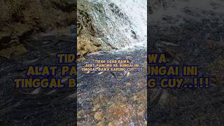 ikan di sungai ini tinggal ambil cuy‼️shorts fishing mancing [upl. by Nasaj33]