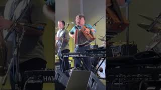 Alex Meixner  Live at Illinois Polka Fest 2024 [upl. by Arvy180]