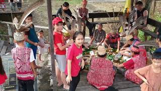 Kejutan TERBESAR Adat Miring dalam Budaya Dayak Iban [upl. by Nnil]