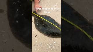 Fluke fishing Manasquan inlet shortsvideo [upl. by Inot]