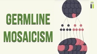 Mosaicisms  Part 1  Germline Mosaicism [upl. by Batchelor13]