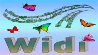 Widi v332 Recognition System Pro Full Download [upl. by Shaff294]