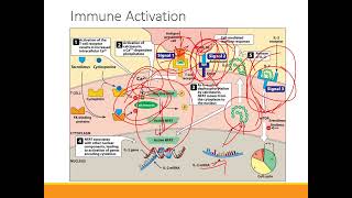 Immunosuppressants [upl. by Igal]