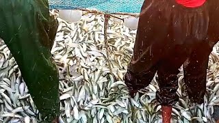 Net Fishing pakistani Boat net fishing deep sea Full Video [upl. by Irrehs]