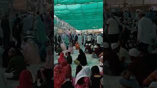 Ajmer shariff dargha khwajagaribnawaz ajmer kgnstatus ytshortsvideo [upl. by Town663]