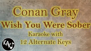 Wish You Were Sober Karaoke  Conan Gray Instrumental Original Lower Higher Female Key Version [upl. by Alikat]