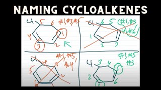 Naming Cycloalkenes  Organic Chemistry [upl. by Yrruc]