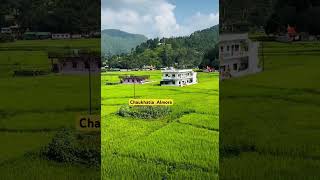 Chaukhatia Almora uttrakhand [upl. by Odawa]