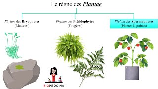 Biologie Végétale ملخص بسيط [upl. by Rabelais]