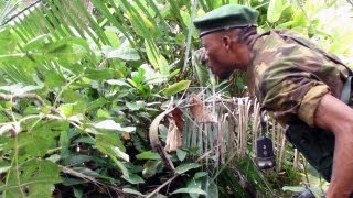 Konys Ivory LRA Poaching in Garamba National Park [upl. by Scribner127]