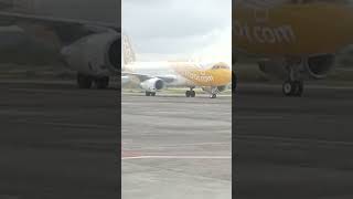 The arrival of a secoot plane at Bandra International Lombok [upl. by Smallman]