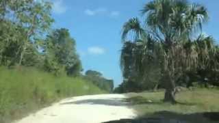 Copper Bank Video  Belize Driving Tour [upl. by Wightman]