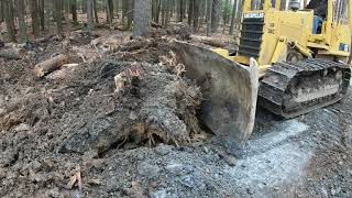 Clearing land with a dozer [upl. by Eaneg]