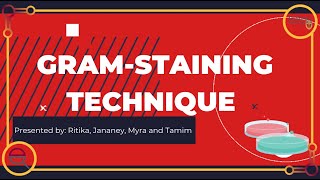 Gram Staining Technique [upl. by Ljoka]