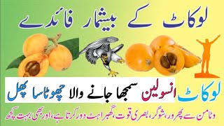 Loquat benefitshealth food quotes tips loquat [upl. by Ahsiei]