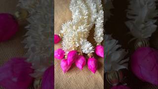 Diwali Toran  Tulip Hanging w tissue paper🪔diy artandcraft papercraft diwalispecial hanging [upl. by Wini]