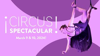 New England Center for Circus Arts Circus Spectacular 3924 [upl. by Nedaj]