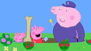 La caccia al tesoro  Peppa Pig Italiano Episodi completi [upl. by Delila732]