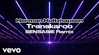 Herman Holtzhausen  Transkaroo SENSASIE Remix  Visualizer ft SENSASIE [upl. by Nuarb]