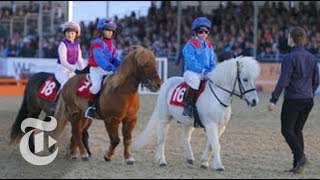 Shetland Pony Grand National  OpDocs  The New York Times [upl. by Fitting]