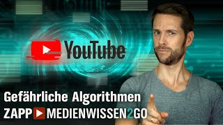 Das Problem mit den Algorithmen  MedienWissen2go  ZAPP  NDR [upl. by Leitman575]