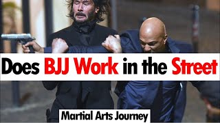 Does BJJ Work in the Street • Martial Arts Journey [upl. by Eeslehc]