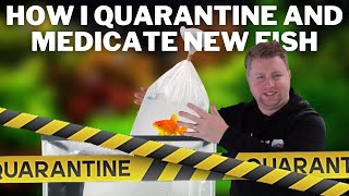 How I Quarantine and Medicate New Fish  My Routine for New Fish [upl. by Kimmi]