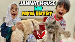 Jannat House Me New Family Member’s Ki Entry  Sanober Choti Vlog [upl. by Chapell506]