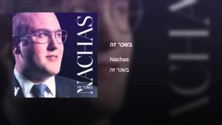 NACHAS Bischar Zeh  נחת בשכר זה Audio [upl. by Alistair]