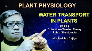 PLANT PHYSIOLOGY ONLINE LECTURE Water Transport In Plants Part 2 Cohesion Tension Theory [upl. by Marigolda71]