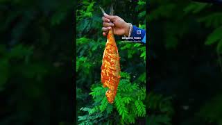 Vibe song yaruda antha meen naanthanda antha meen  fish love  fish fry [upl. by Oglesby]