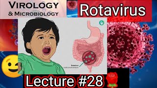 reovirus reovirus replication reovirus family rotavirus rotavirus microbiologyrotavirus vaccine [upl. by Emorej586]