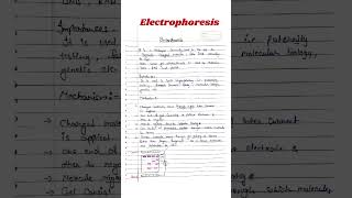 Electrophoresis  Electrophoresis Biochemistry csirnet msczoology [upl. by Anerom416]