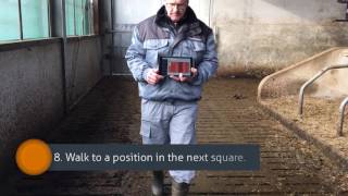 How to calibrate the Nedap Cow Positioning system [upl. by Ami261]