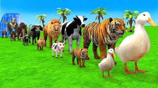 Paint Animals Cow Duck Elephant Tiger Hippo Funny 3d Animal Transformation Crossing Fountain Game [upl. by Kcirderfla]