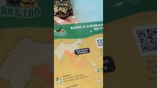 Istana Reptil Di Lembang Park And Zoo Bandung lembangparkandzoo zoo edukasi [upl. by Arocahs673]