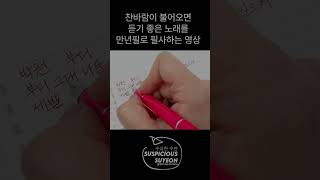 입문용 만년필 파이롯트 프레라 만년필 만년필필사 노래가사쓰기 만년필리뷰 [upl. by Enyedy675]