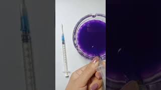 DIY Paintbrush from a Syringe Watch This 🖌️ [upl. by Wendt]