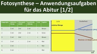 Fotosynthese  Anwendungsaufgaben für Klausuren das Abitur 12  Biologie Oberstufe [upl. by Annahael]