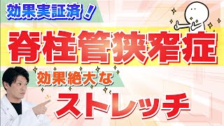 【実践編】脊柱管狭窄症を改善！ストレッチとエクササイズ。これまでの治療経験から、効果的なエクササイズを厳選（理学療法士厳選） [upl. by Diskin]