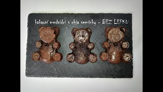 🐻 Kakaoví medvídci s chia semínky a jogurtem  BEZ LEPKU  Zdravé mlsání  CZSK HD recipe [upl. by Ahsrop928]