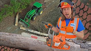 Farm work with Handyman Hal  Chainsaw and Tractors Pushing Trees [upl. by Ramah416]