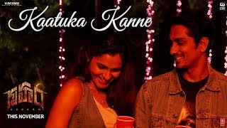 Kaatuka Kannuladha Full Video Song  Telugu Medium  Sainma Creations  South Indian Logic [upl. by Riane]