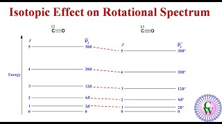 Isotopic Effect on Rotational Spectrum [upl. by Enaelem]