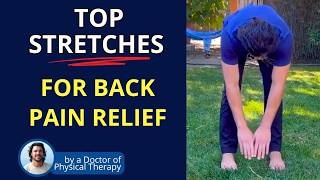 Best Stretches for Back Pain amp SI Joint Pain [upl. by Prescott]