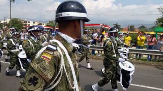 EJÉRCITO DE COLOMBIA 20 de Julio 2017 Cali  Colombia [upl. by Eirahcaz832]