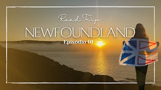 ROAD TRIP por NEWFOUNDLAND  DIA 1 Trinity Skerwick Trail e Lockston Path Provincial Park [upl. by Jerold166]