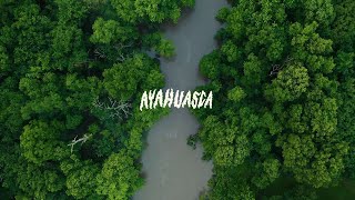 INDORAZA  Ayahuasca OFFICIAL VIDEO LYRIC [upl. by Keyte442]